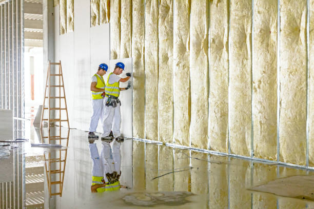 Insulation Air Sealing in Eureka, CA